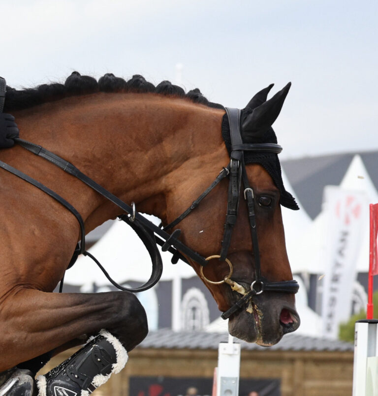 Fan d'Olly Aubépines - ph. PSV