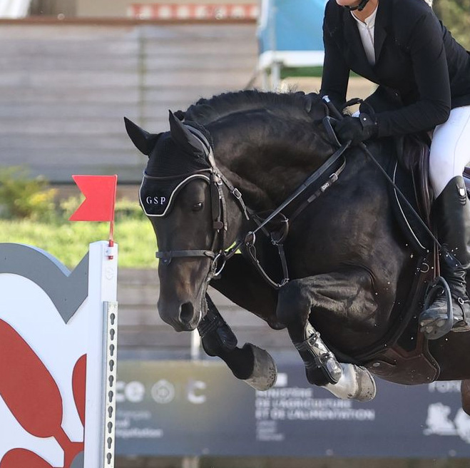 Jungle Boogie Alias - ph. PSV