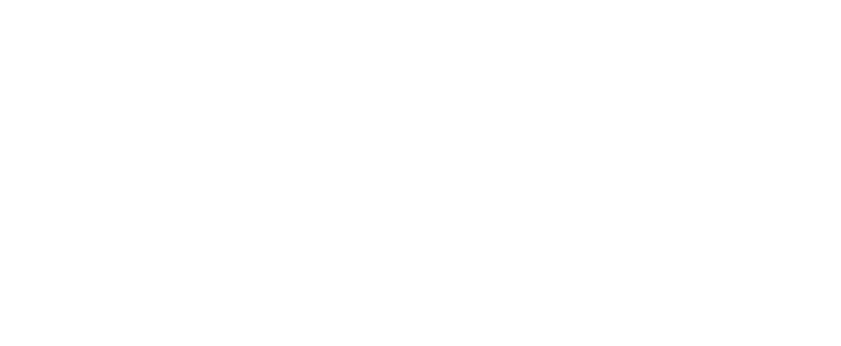 Pony Connexion La Marque Poney