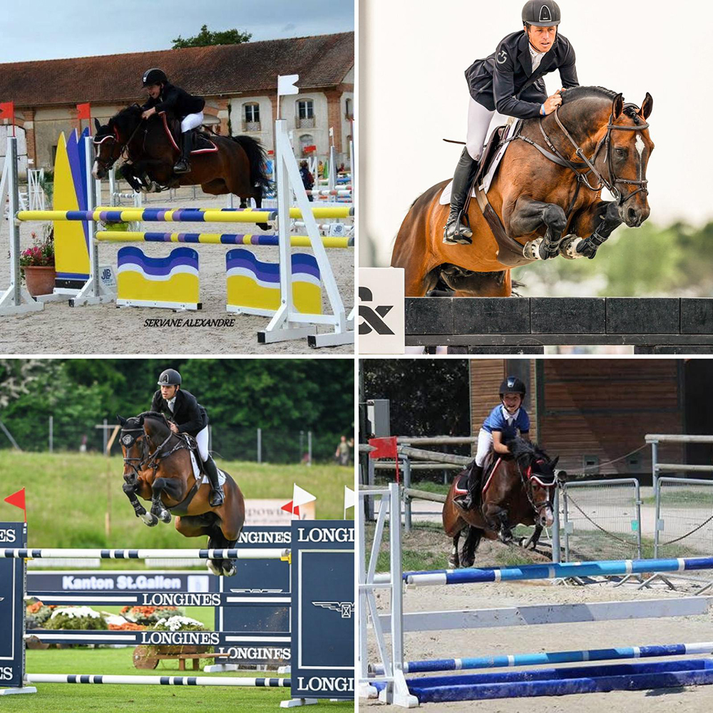 Mâle à naître en Avril pour Hello Vincent X Top Secret Tilia